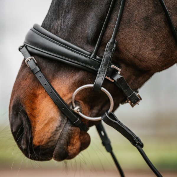 Träns Rundsytt GPC Haglunds