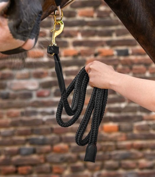 Grimskaft Royal Waldhausen