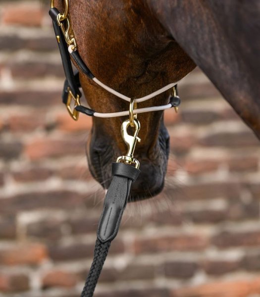 Grimskaft Royal Waldhausen