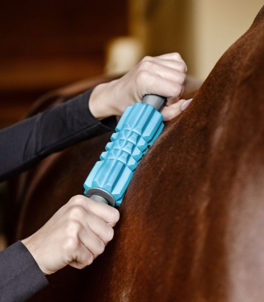 Massagerulle Faszien Fit Health + Care Waldhausen