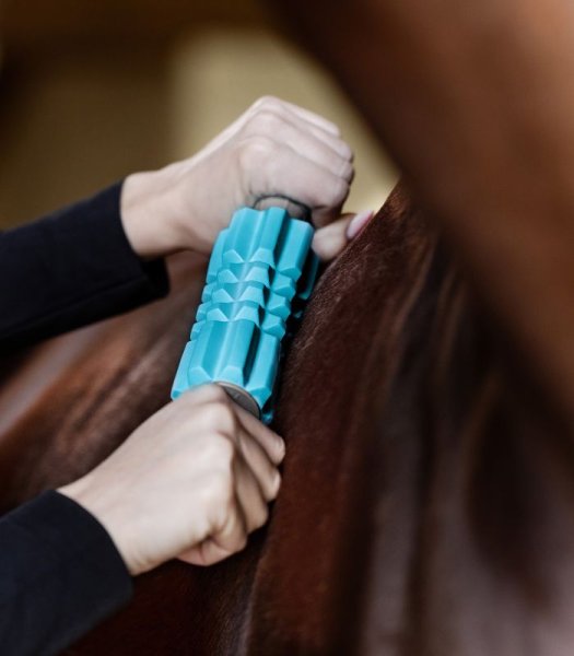 Massagerulle Faszien Fit Health + Care Waldhausen