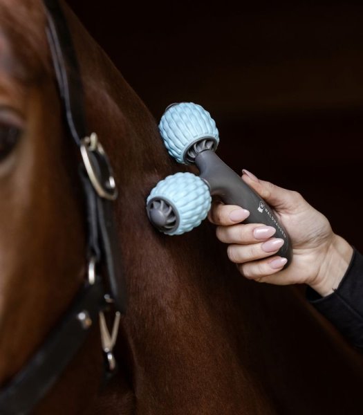 Massageroller Comfort Creator Health + Care Waldhausen