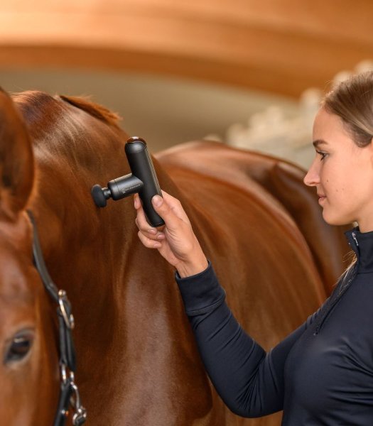 Massagepistol PocketRelax Health + Care Waldhausen