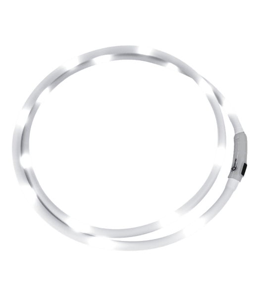 LED-halsband till häst Waldhausen