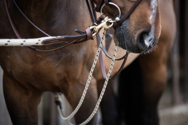 Gramantygel Rep Jacson