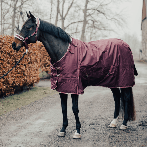 regntacke-hast-50g-avtagbar-hals