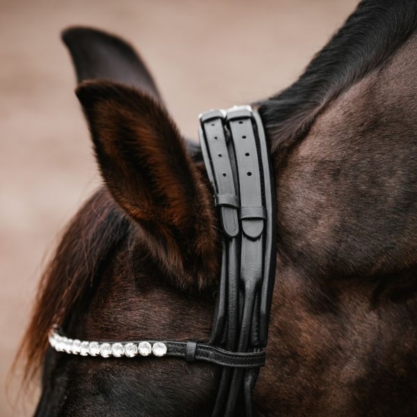 Träns Rundsytt GPC Haglunds