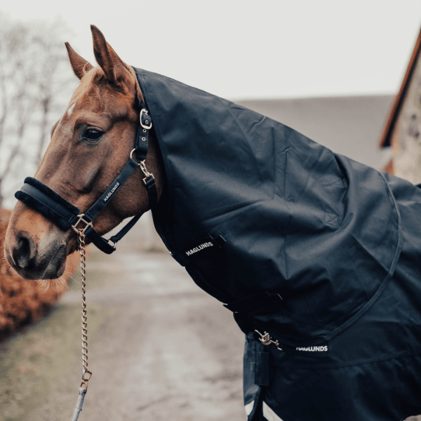 vintertäcke-häst
