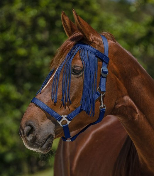 Flugpannband Salon Waldhausen