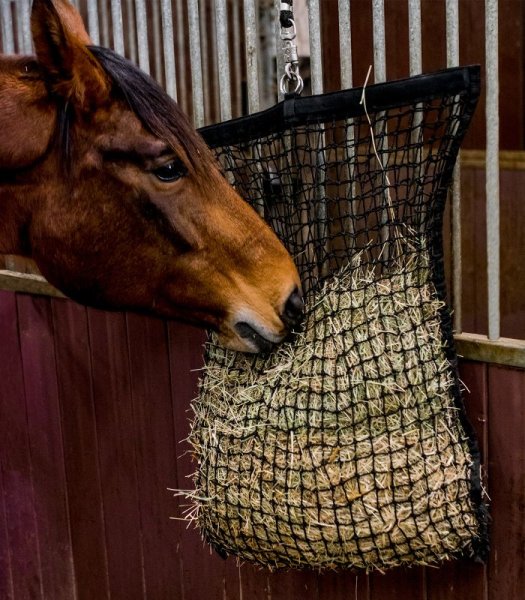 Hönät med påfyllningshjälp Waldhausen
