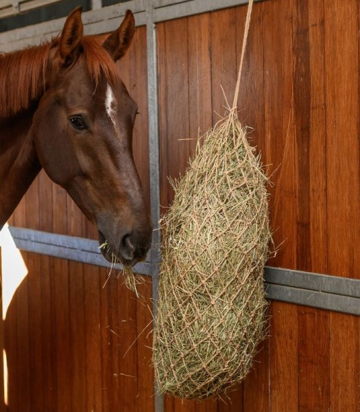 Hönät jute Waldhausen