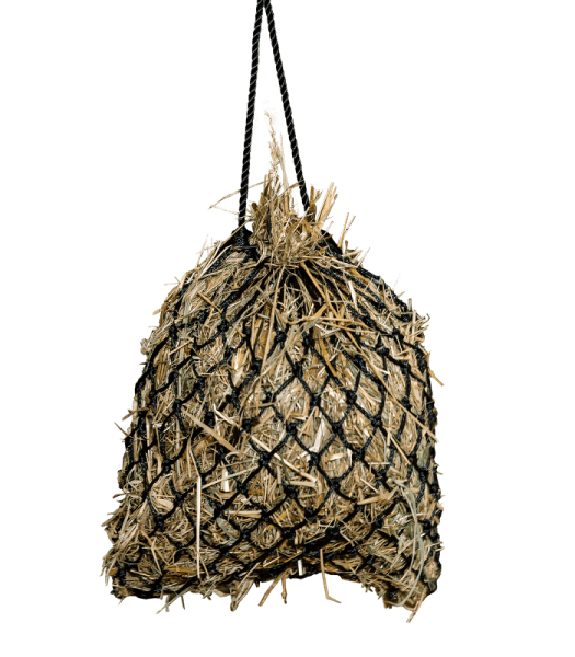 Hönät Slowfeed Shetty Waldhausen