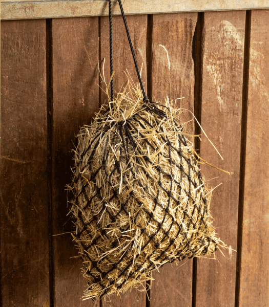 Hönät Slowfeed Shetty Waldhausen