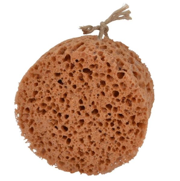 Groomingsvamp rund Borstiq