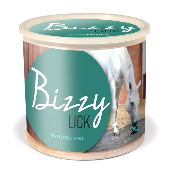 slicksten mint häst