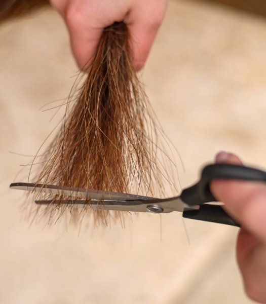 Man & Svans Sax Easy Cut Waldhausen