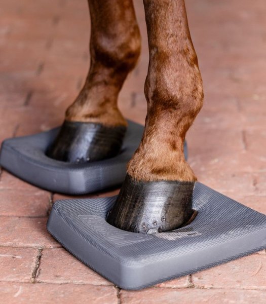 Balanspaddar Health & Care Waldhausen