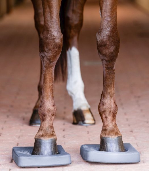 Balanspaddar Health & Care Waldhausen