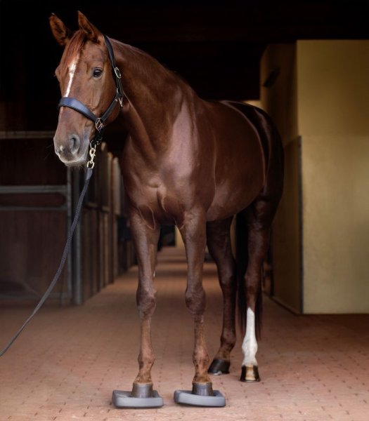 Balanspaddar Health & Care Waldhausen