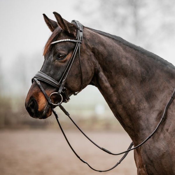 Träns Rundsytt GPC Haglunds