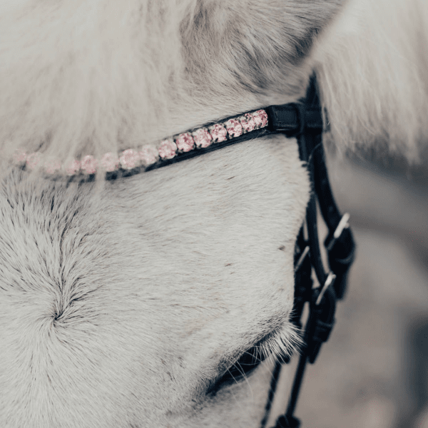 träns med rosa strass pannband