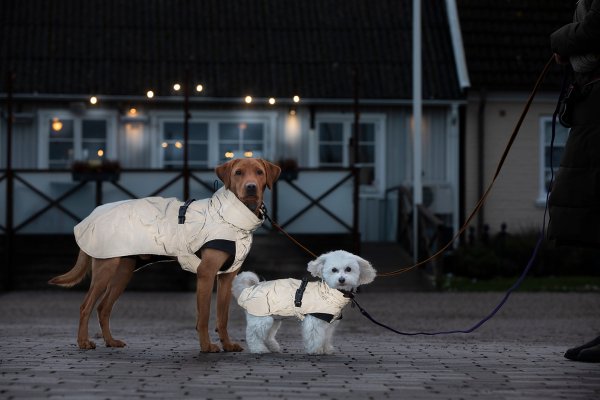 Reflextäcke Hund Light Dogman