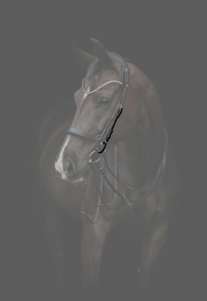 Sidostycken Gentle Catago