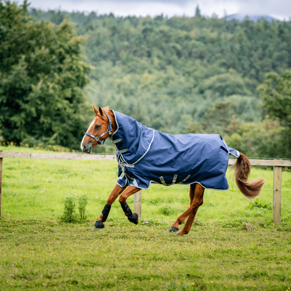 regntacke-hast-horseware-0g