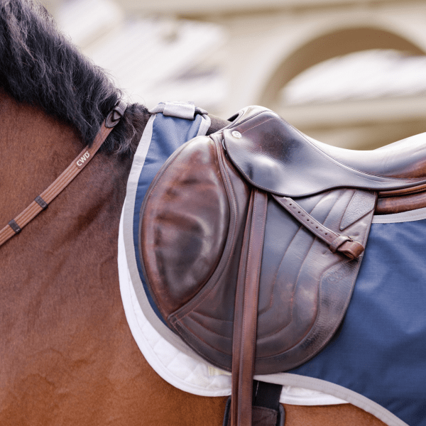 skrittacke_hast_horseware_amigo