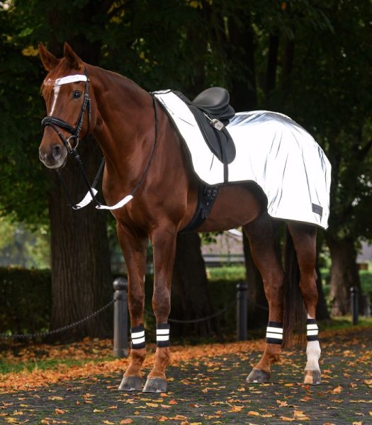 Ridtäcke Reflex Exercise Rug Silver Waldhausen