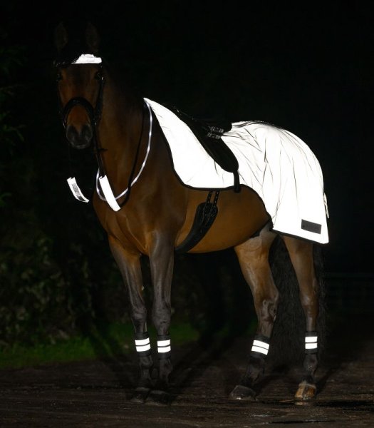 Ridtäcke Reflex Exercise Rug Silver Waldhausen