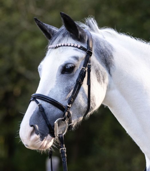 Träns Happy Hearts Waldhausen