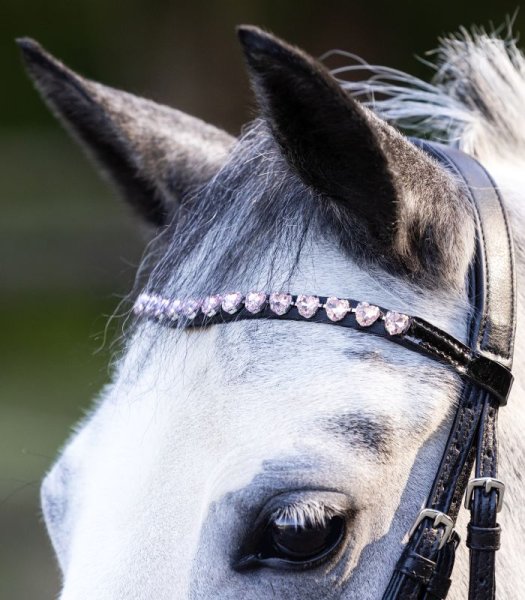 Träns Happy Hearts Waldhausen