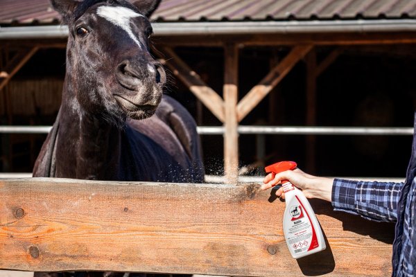 Bitterspray No-Bite 550 ml Leovet