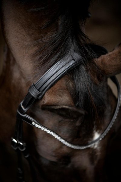 Nackstycke Gentle Catago