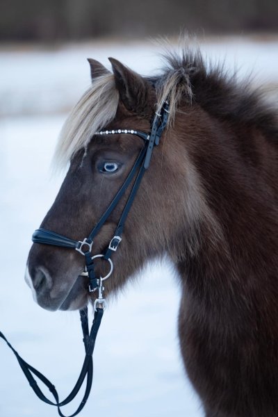 Tyglar Island Supergrip Med Stoppar Karbinhake Horse Guard
