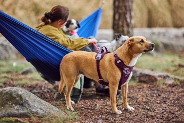 Hundsele Weekend Warrior II ECO Hurtta