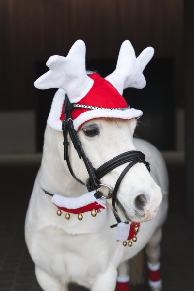 Tygelbjällror Jul 2 st HorseGuard