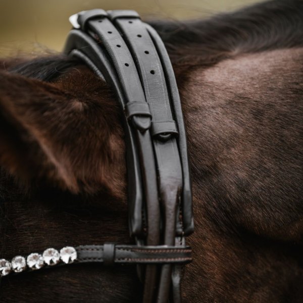 Träns Rundsytt GPC Haglunds