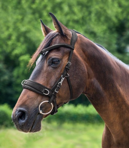 Kapson läder Waldhausen