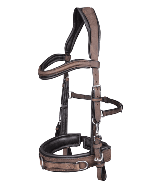 Kapson läder Waldhausen