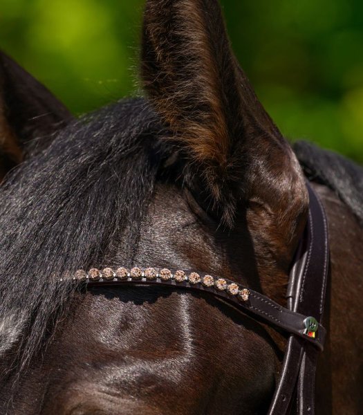 Pannband X-Line Glam Waldhausen