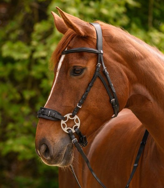 Bettlöst Träns Pro Bridle Sensitive Bitless Waldhausen