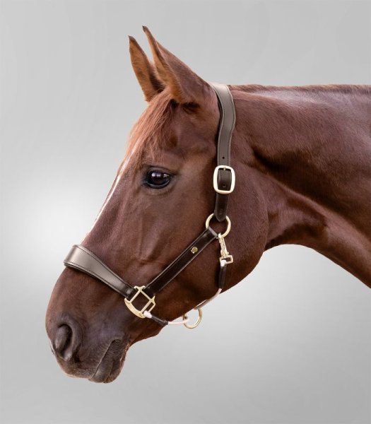 Lädergrimma S-line Royal Waldhausen