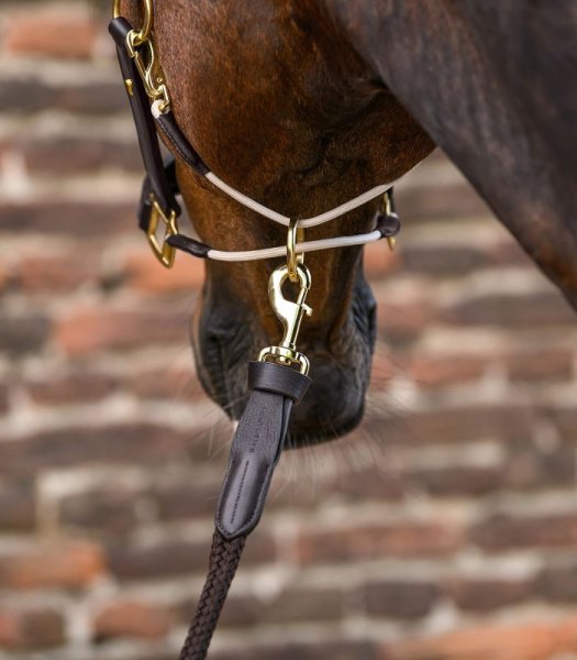 Lädergrimma S-line Royal Waldhausen