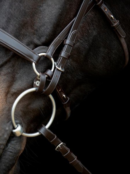 Hakrem Gentle Catago