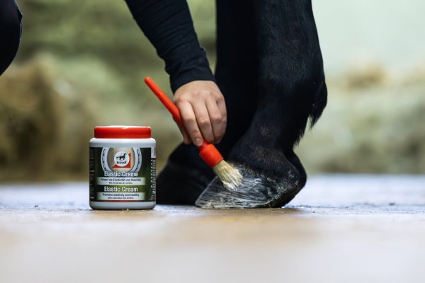 Hovkräm Elastic Creme Leovet