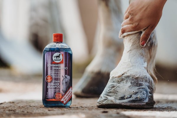 Shiny White Schampoo Leovet 500ml