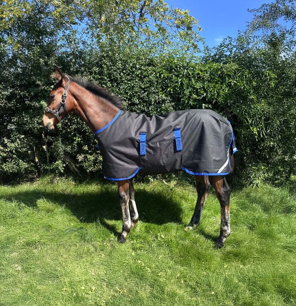 Föltäcke Amigo 200g Foal 900D Horseware