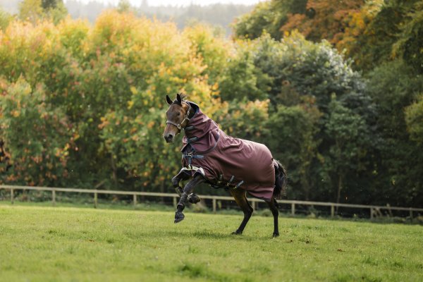 Regntäcke Amigo 1200D Plus 50g Turnout Horseware